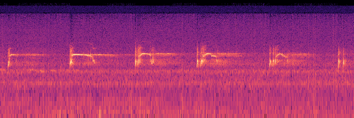 Spectrogram: Coyote Howls Close to Microphone